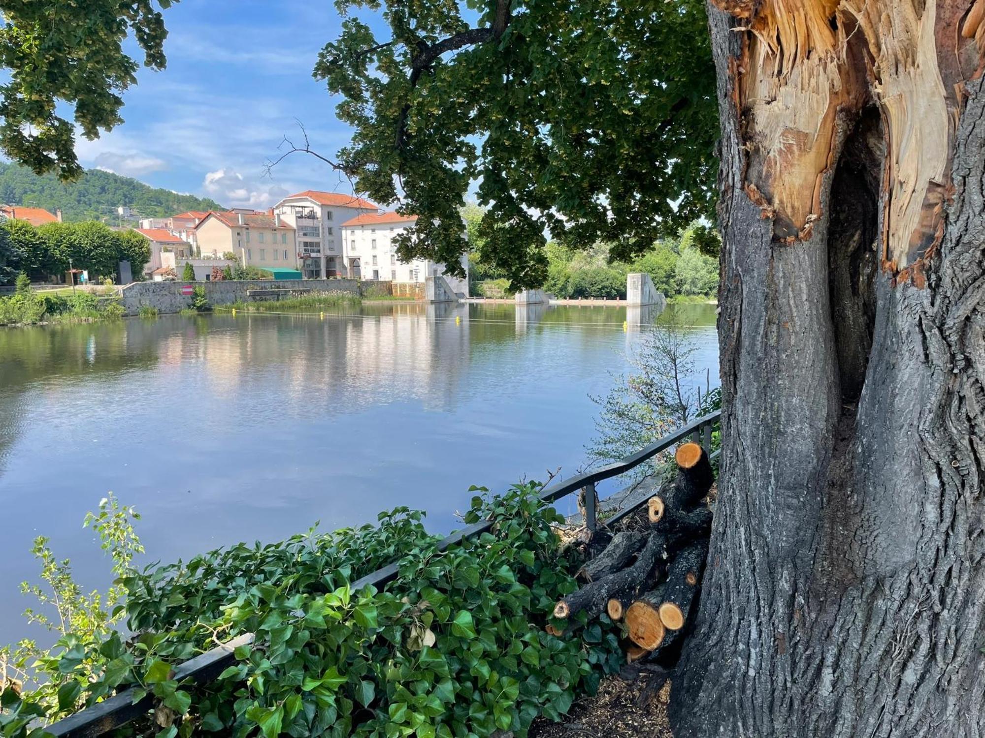La Brivoise - Maison Calme Et Cosy , Wifi, A 5Min Du Puy Villa Brives-Charensac Ngoại thất bức ảnh